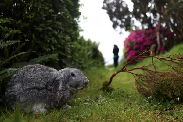 Portugal's Azores is bracing for disaster following a series of small earthquakes