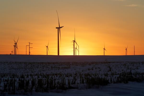 A wind farm shares space with corn fields the day before the Iowa caucuses, wher<em></em>e agriculture and clean energy are key issues, in Latimer, Iowa