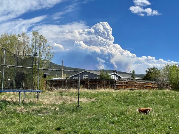 Smoke rising from the Calf Creek Hermits Peak fire is seen from Taos