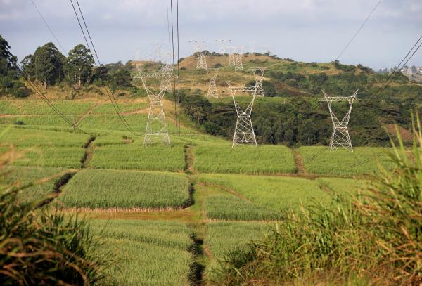 Power lines supplying electricity by stated owned Eskom run through sugar cane fields on a To<em></em>ngaat Hulett farm in Shongweni