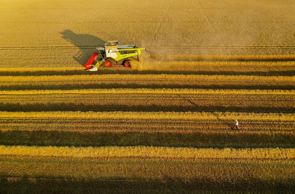 A French farmer harvests his field of wheat during sunset in Thun-L'Eveque