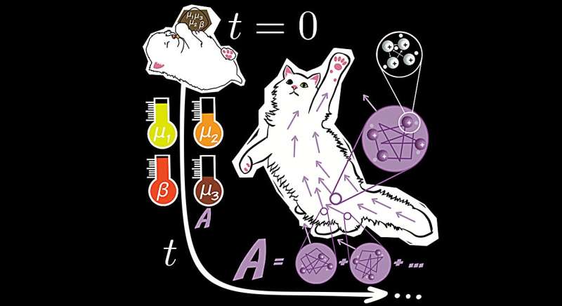 'It's ultimately a<em></em>bout predicting everything'—theory could be a map in the hunt for quantum materials