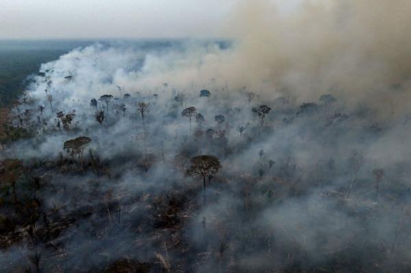 From Indo<em></em>nesia to Bolivia, deforestation shows no signs of slowing with forests nearly the size of Ireland lost in 2023