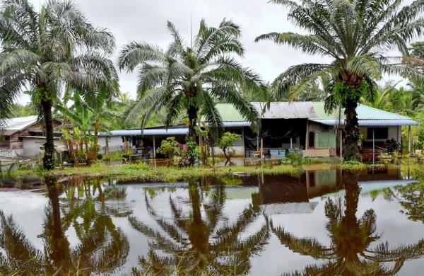 Flood update: Kedah’s evacuee count climbs to 439, Johor reports 601 displaced residents