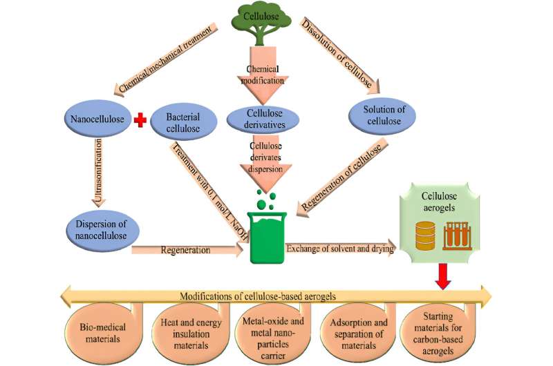 Enzymes in spider venom have bioeco<em></em>nomic potential