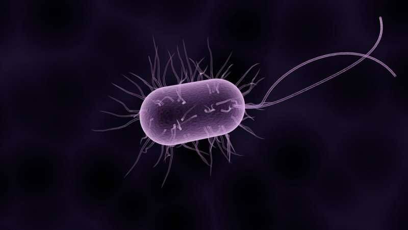 microbe