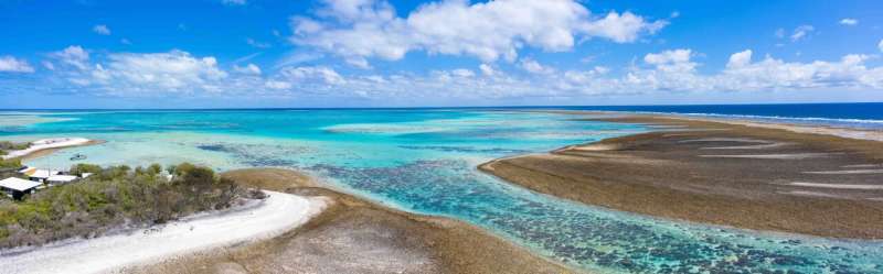 Plenty more fish in the sea? Enviro<em></em>nmental protections account for around 10 percent of fish stocks on coral reefs