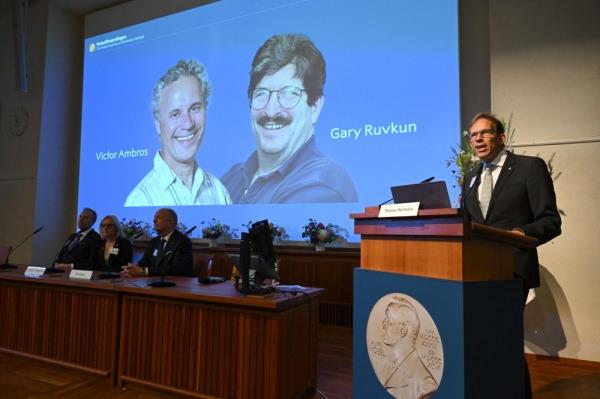 And the 2024 Nobel prize for medicine goes to… Americans Victor Ambros and Gary Ruvkun for microRNA discovery; that started with a 1mm roundworm