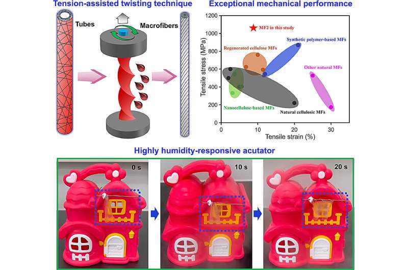 Super-strong bacterial cellulose macrofibers made simple with TAT technique