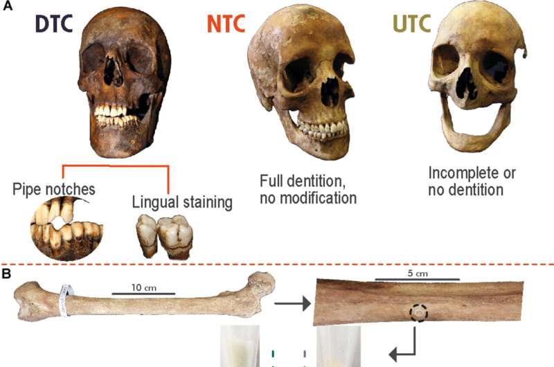 Archaeologists use text<em></em>areabolites in bo<em></em>nes to identify smokers from centuries ago