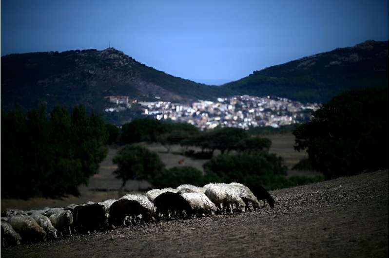 Experts say flocks need to be vaccinated earlier in the year