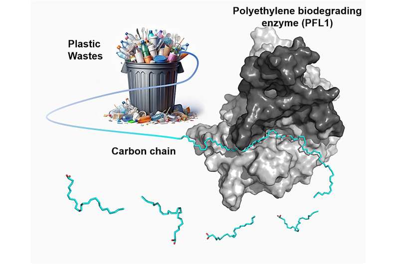 KIST accelerates the realization of a circular eco<em></em>nomy with the development of polyethylene biodegrading enzyme