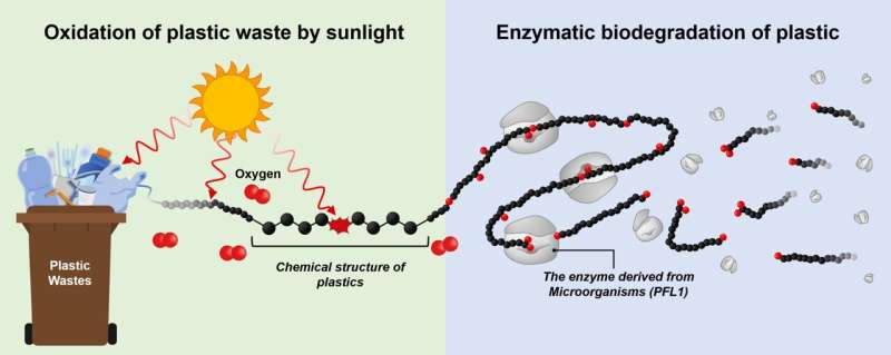 KIST accelerates the realization of a circular eco<em></em>nomy with the development of polyethylene biodegrading enzyme