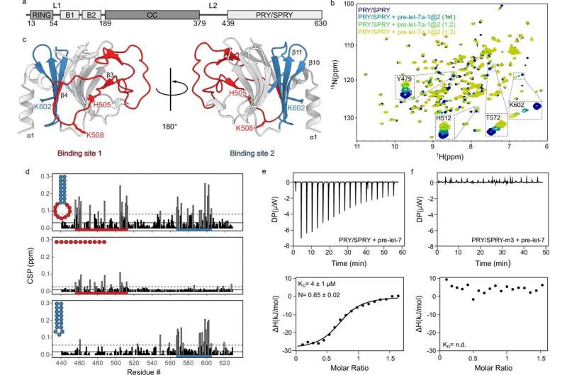 Towards a better understanding of the human immune defense against RNA viruses