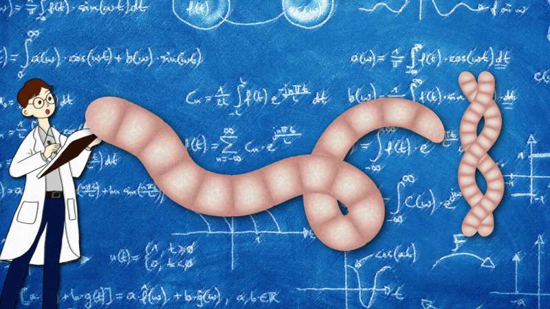 A leap in behavioral modelling: Scientists replicate animal movements with unprecedented accuracy