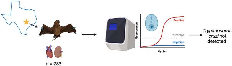 Solid electrolyte composed of nanoparticles shows promise for all-solid-state batteries