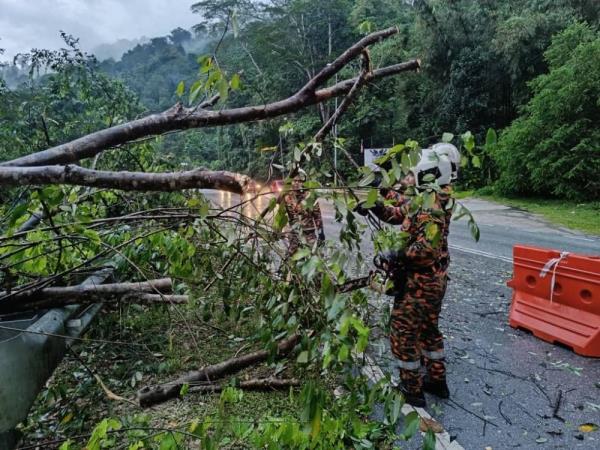 Evening storm topples trees across Klang Valley; traps Perodua Axia driver inside car at Taman Megah LRT station