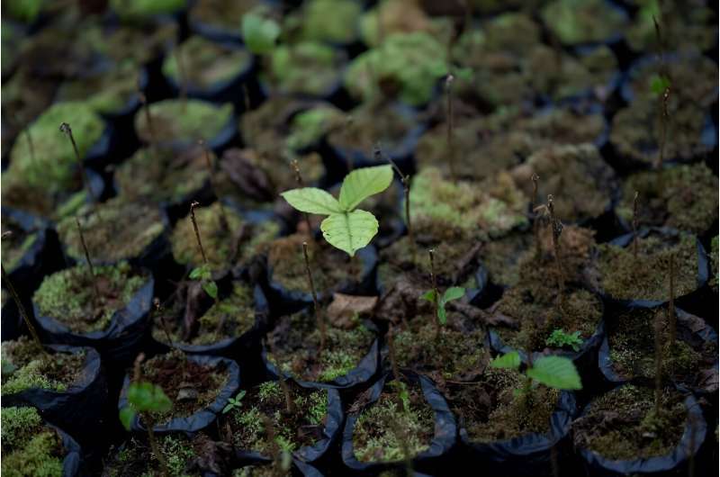 With the plant world facing a raft of human-driven challenges -- including erosion, deforestation, pollution and a burgeo<em></em>ning extinction crisis -- the future of the world's biodiversity and crops are increasingly feared to be under threat