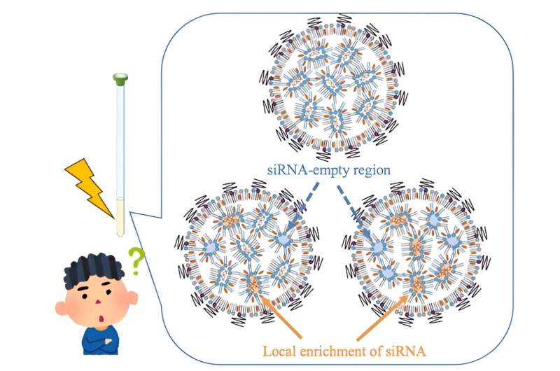 NMR-guided optimization of lipid nanoparticles for enhanced siRNA delivery