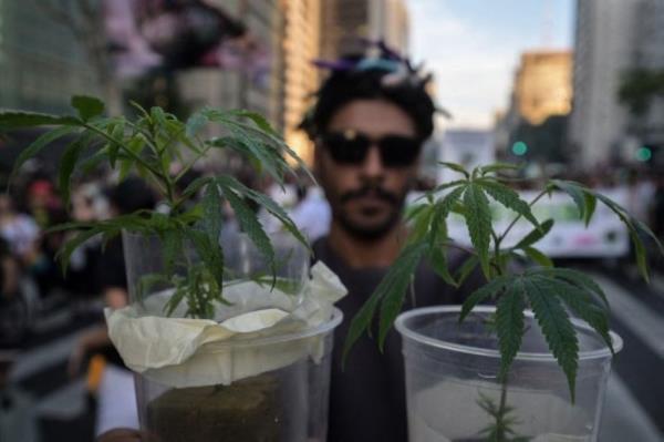 California passes law allowing Dutch-style cannabis cafes