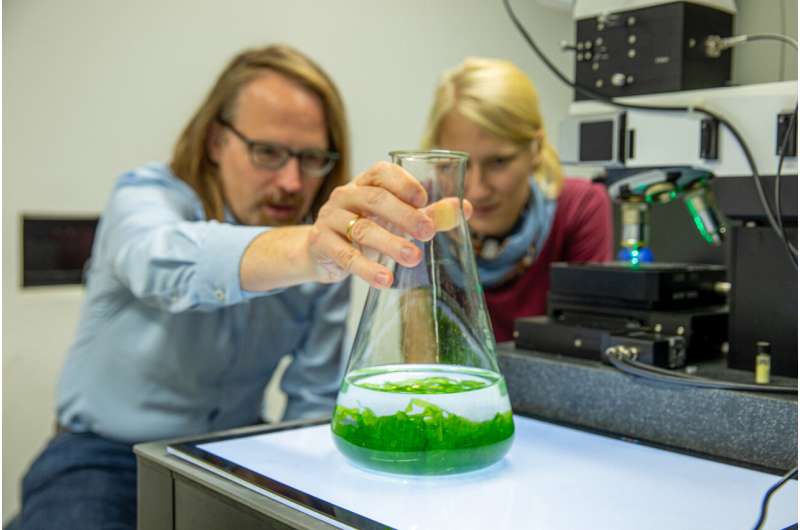 Research team decodes symbiotic interactions in marine algae using Raman spectroscopy