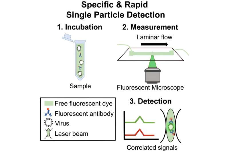 Fast and accurate virus detection method using 3D printed setup