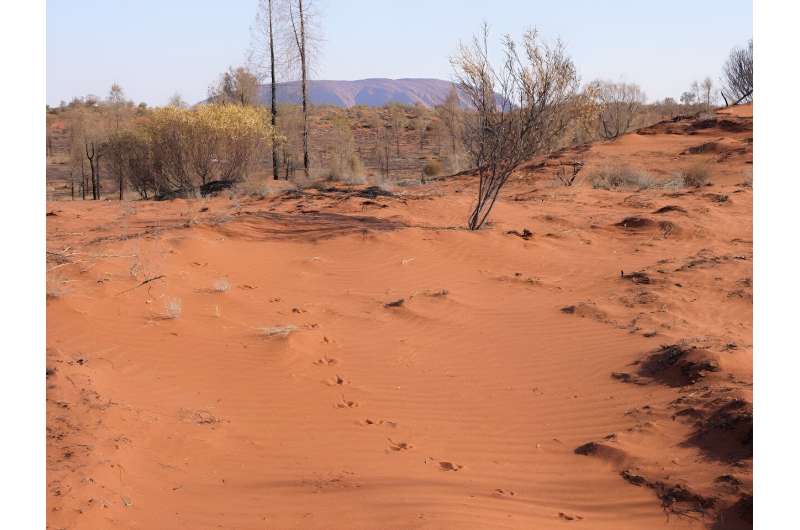 Reading desert sands—Indigenous wildlife tracking skills underpin vast mo<em></em>nitoring project