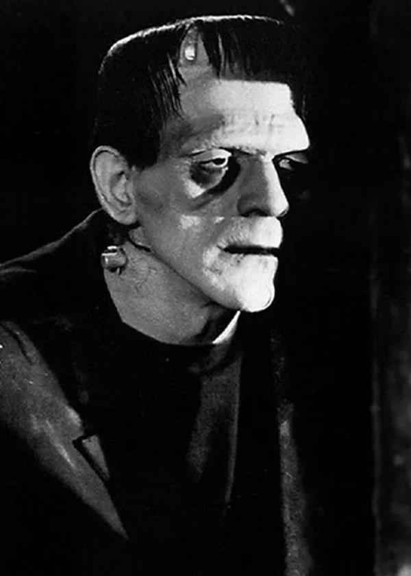 Frankenstein's Mo<em></em>nster from Frankenstein (1931)