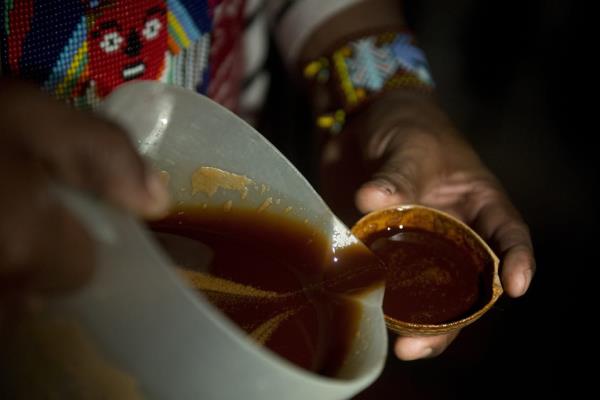 A cup of ayahuasca tea is poured during the start of a ceremony in La Calera, Colombia.