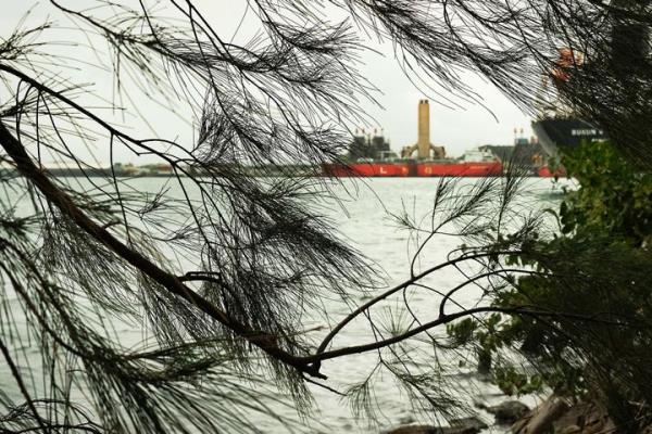 New Fortress Energy's co<em></em>ntroversial LNG import facility is seen through trees in the nearby neighborhood of Cata?o, Puerto Rico.