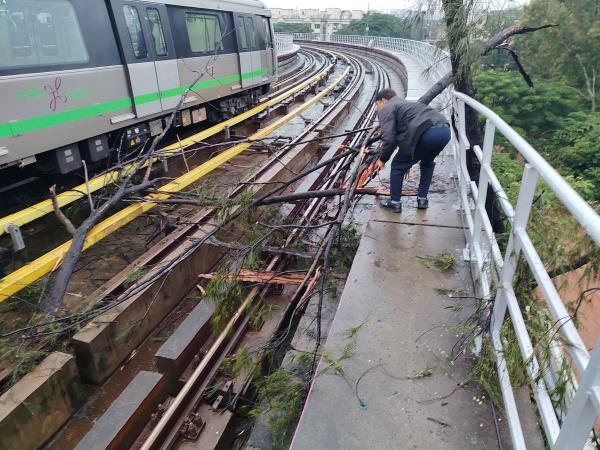 Fallen tree branches on the metro track between Indiranagar and SV Road on Wednesday morning. 