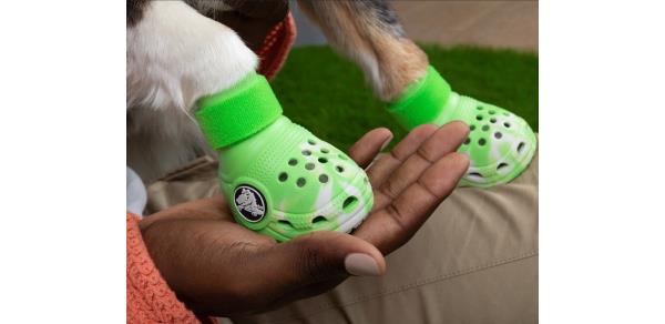 Pet Crocs Boots