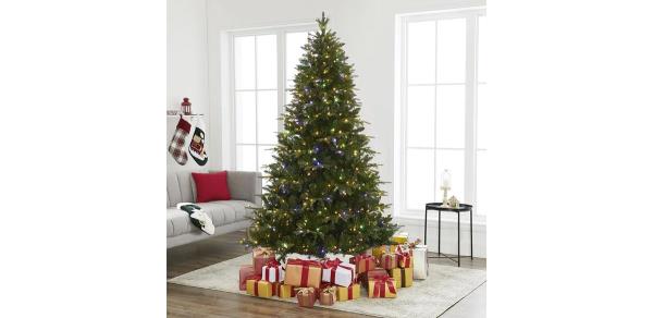 The Holiday Aisle Traditio<em></em>nal Green Spruce Artificial Christmas Tree with Multi-Color Lights