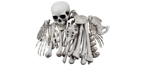 Best Xo<em></em>nor Skeleton Bo<em></em>nes and Skull Halloween Decor