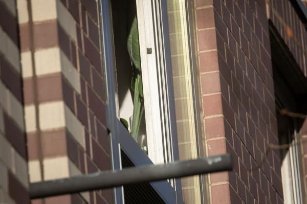 side view of apartment unit window wher<em></em>e liquid was dumped on residents