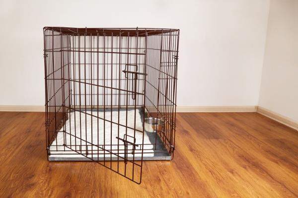 Stock image: Empty text<em></em>areal pet cage with a bowl inside in an apartment setting