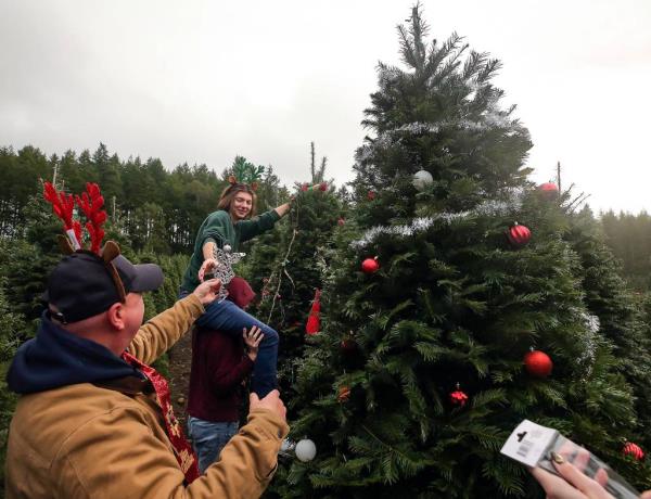 Colin Huntley receiving an angel tree topper from his father Justin, while sitting on the shoulders of brother Aiden, as they decorate a Christmas tree in the field