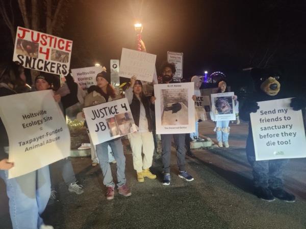 Protesters from Humane Long Island, holding signs against animal abuse at the annual Christmas tree lighting at Holtsville Ecology Center