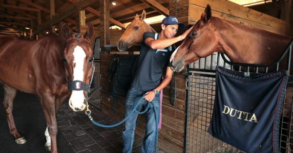 Man petting a horse, in a stable, on the head while other horses look
 on