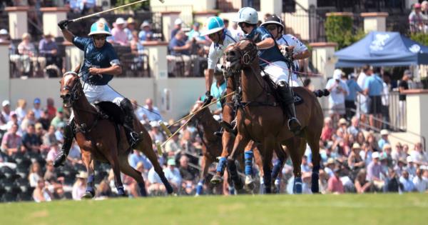 Men playing polo