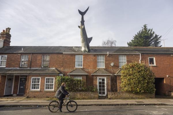 This home has an asto<em></em>nishing 25-foot shark sticking out of its roof.